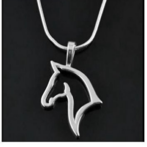 Ketting met paardenhoofd