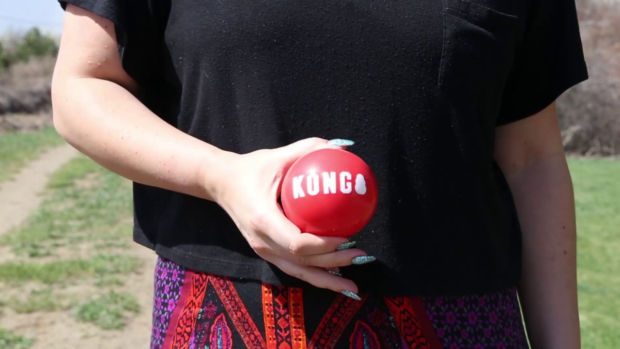 KONG Signature Ball M 2-Pack - Afbeelding 2