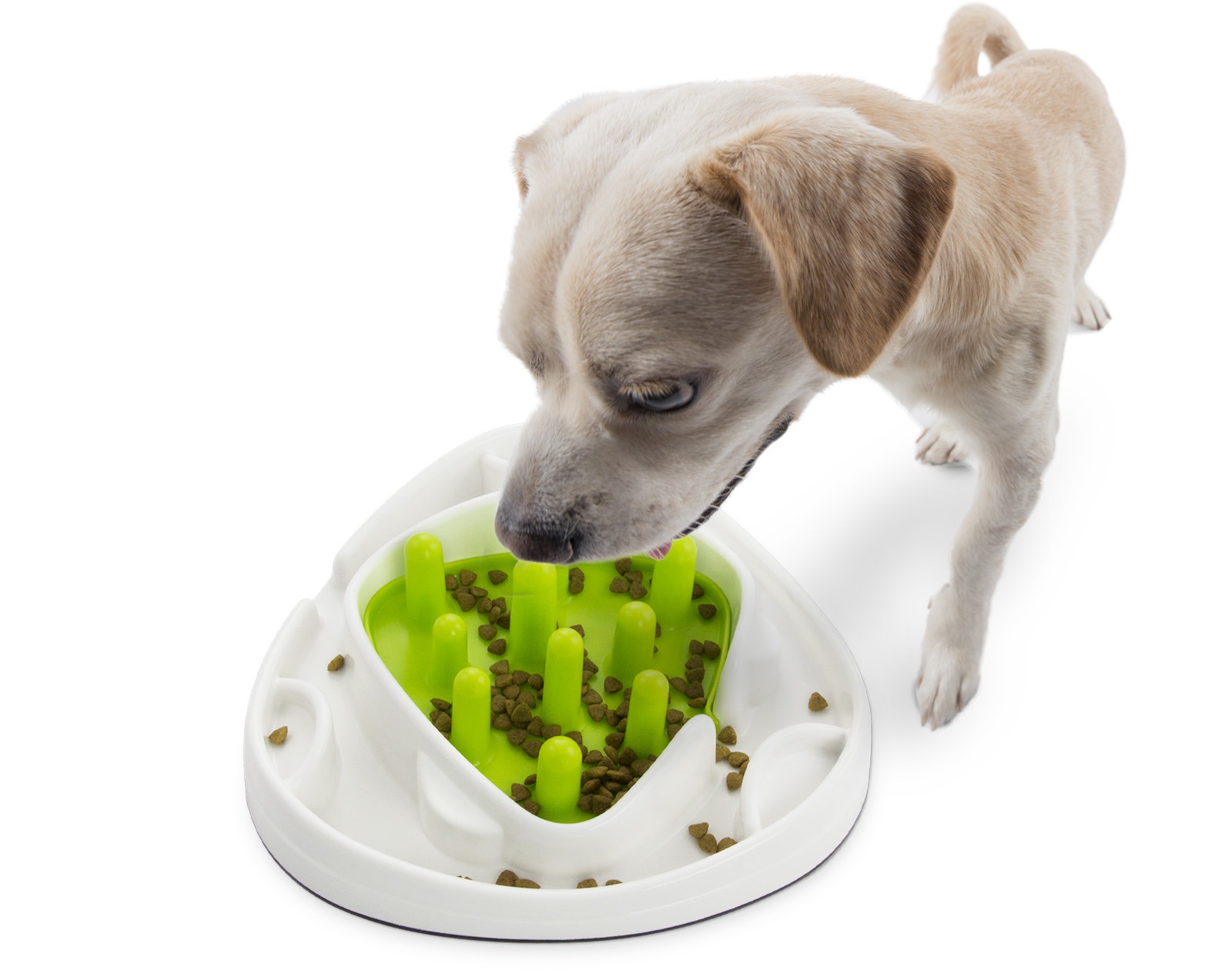 AFP Interactives - Food Maze - Afbeelding 5