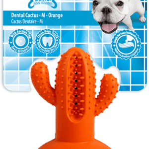 AFP Dental Chews - Dental Cactus M Oranje