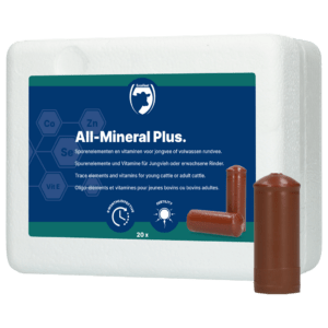 Excellent All-Mineral Plus 20 st