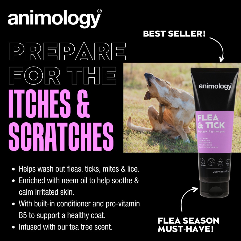 Animology Flea & Tick Dog Shampoo 250 ml - Afbeelding 2