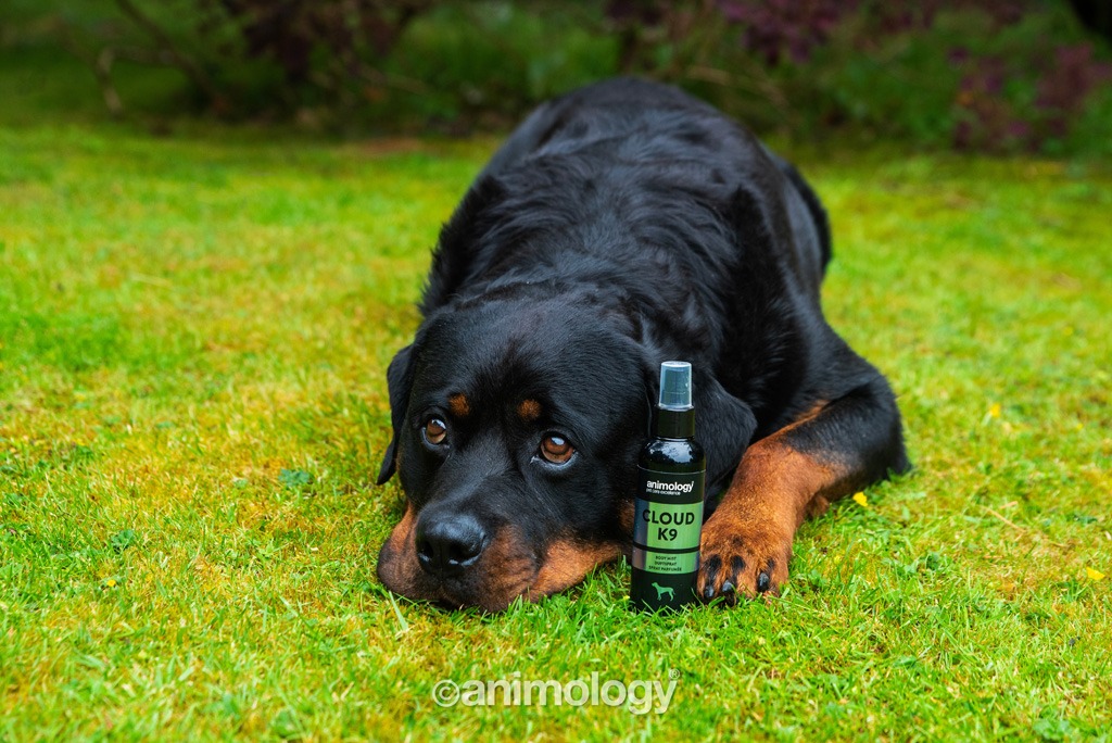 Animology Cloud K9 Body Mist 150 ml - Afbeelding 2