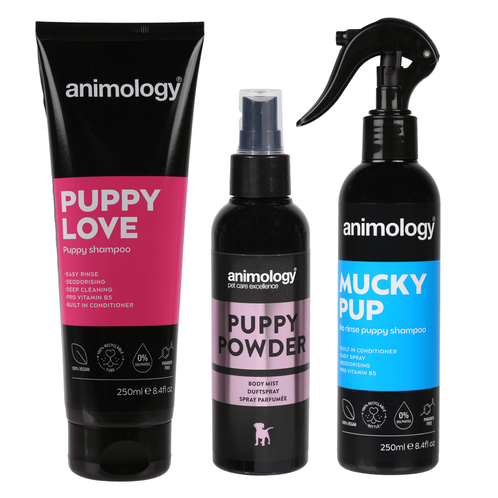 Animology My First Puppy Pack - Afbeelding 3