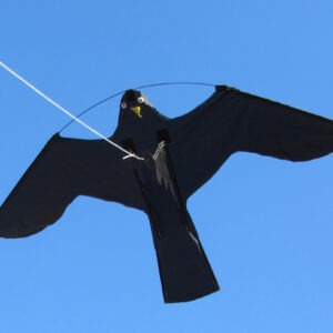 Birdshield Vlieger