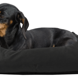 Bodyguard Sofa Bed Zwart S