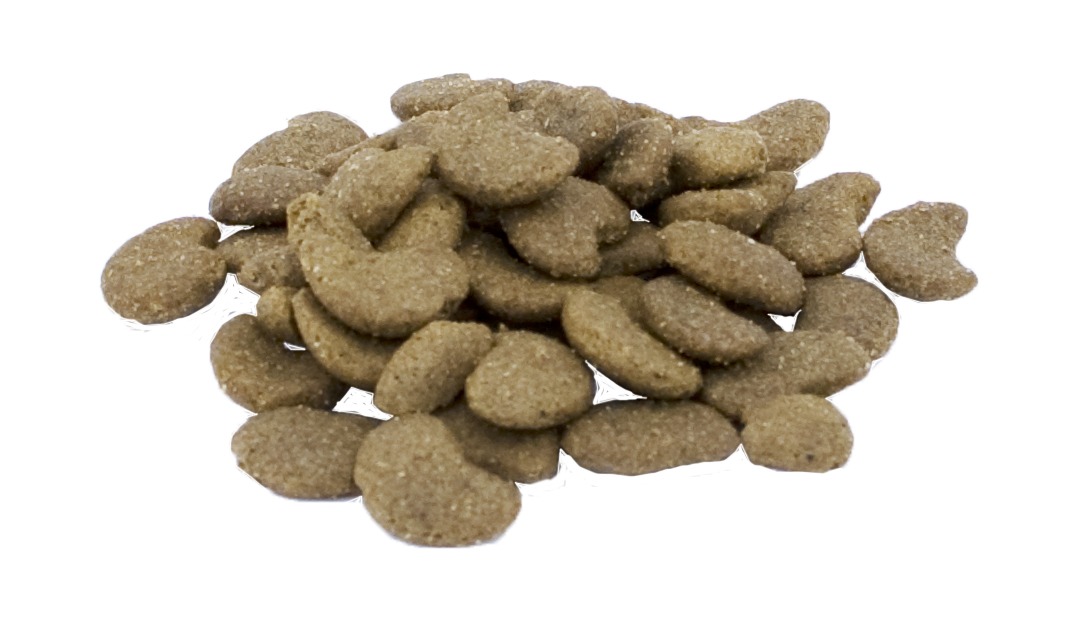 Excellent Pets Cat Parex 60 g - Afbeelding 2