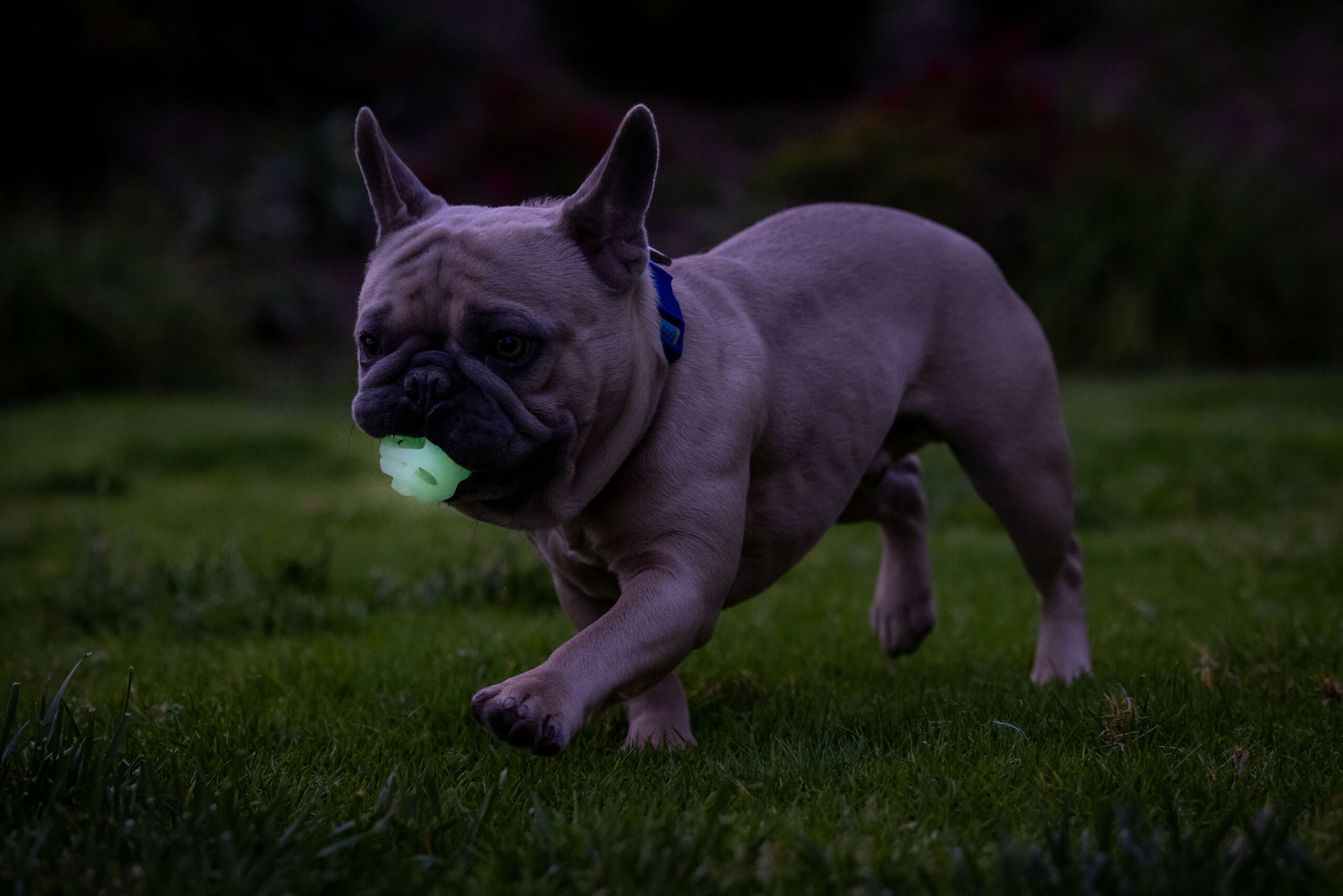 Chuckit! Air Glow Fetch Ball S (2-pack) - Afbeelding 4