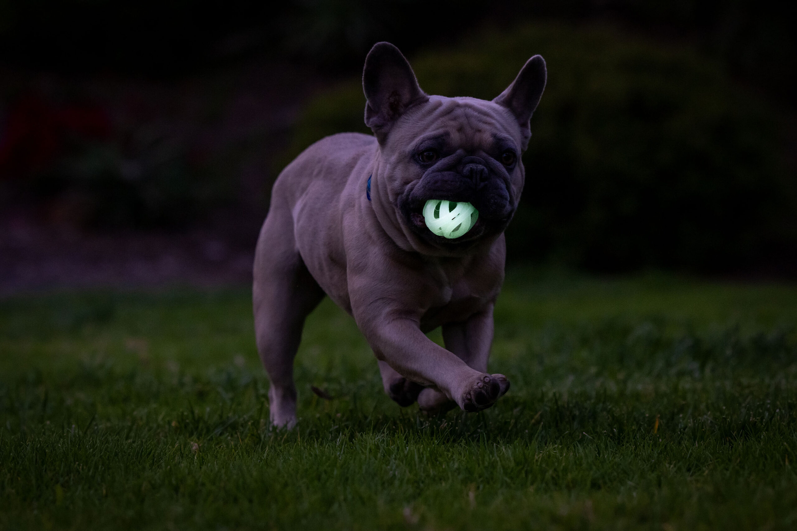 Chuckit! Air Glow Fetch Ball S (2-pack) - Afbeelding 5