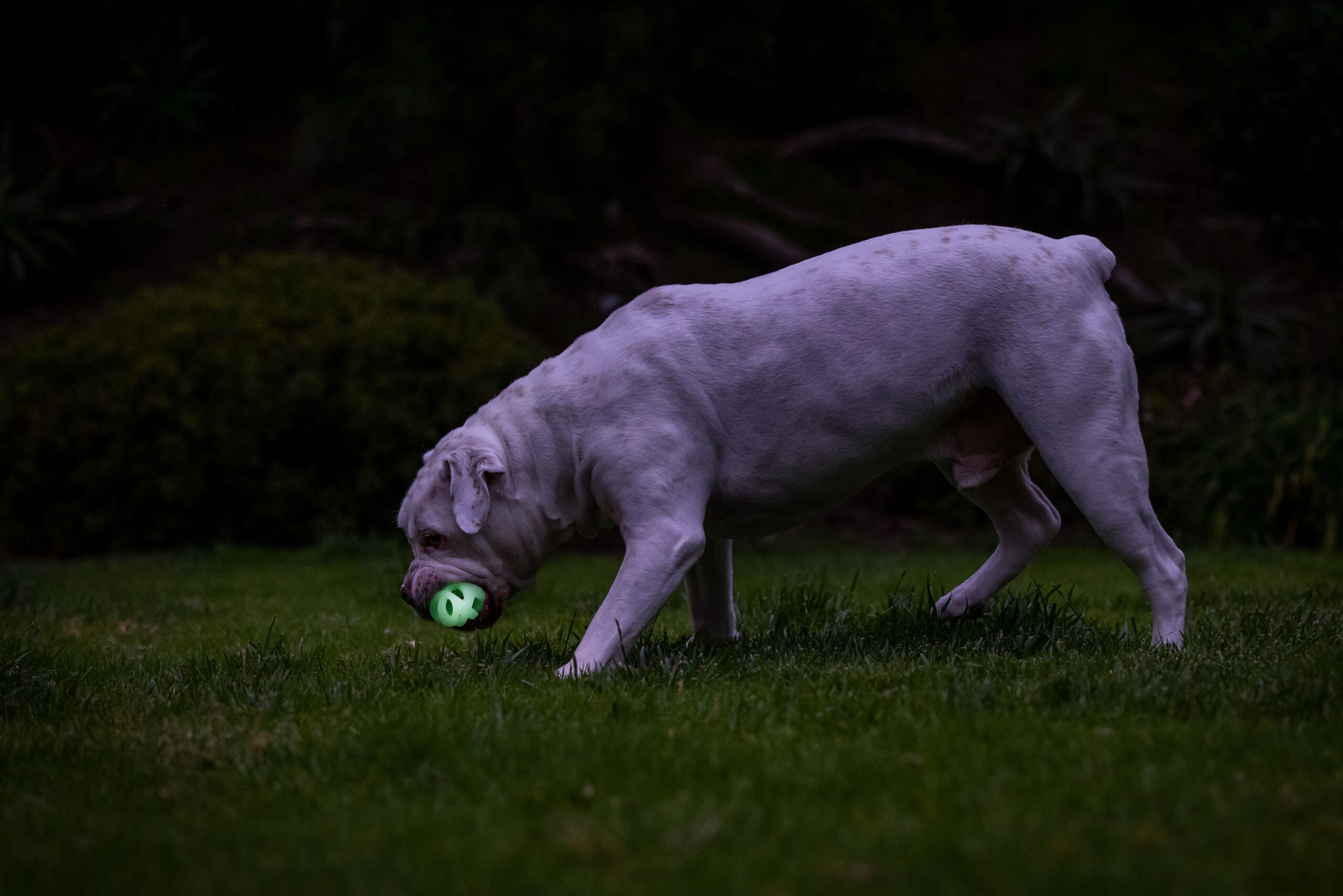 Chuckit! Air Glow Fetch Ball M (2-pack) - Afbeelding 6