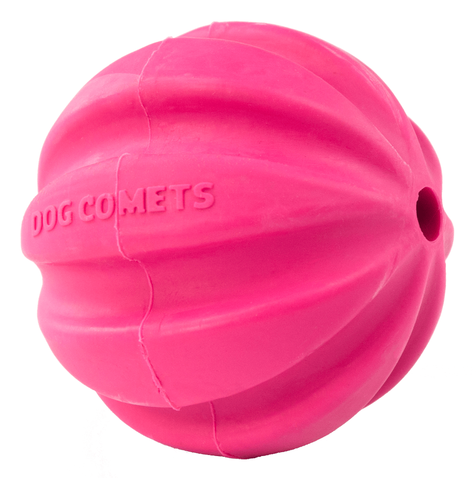 Dog Comets Halley Roze - Afbeelding 4