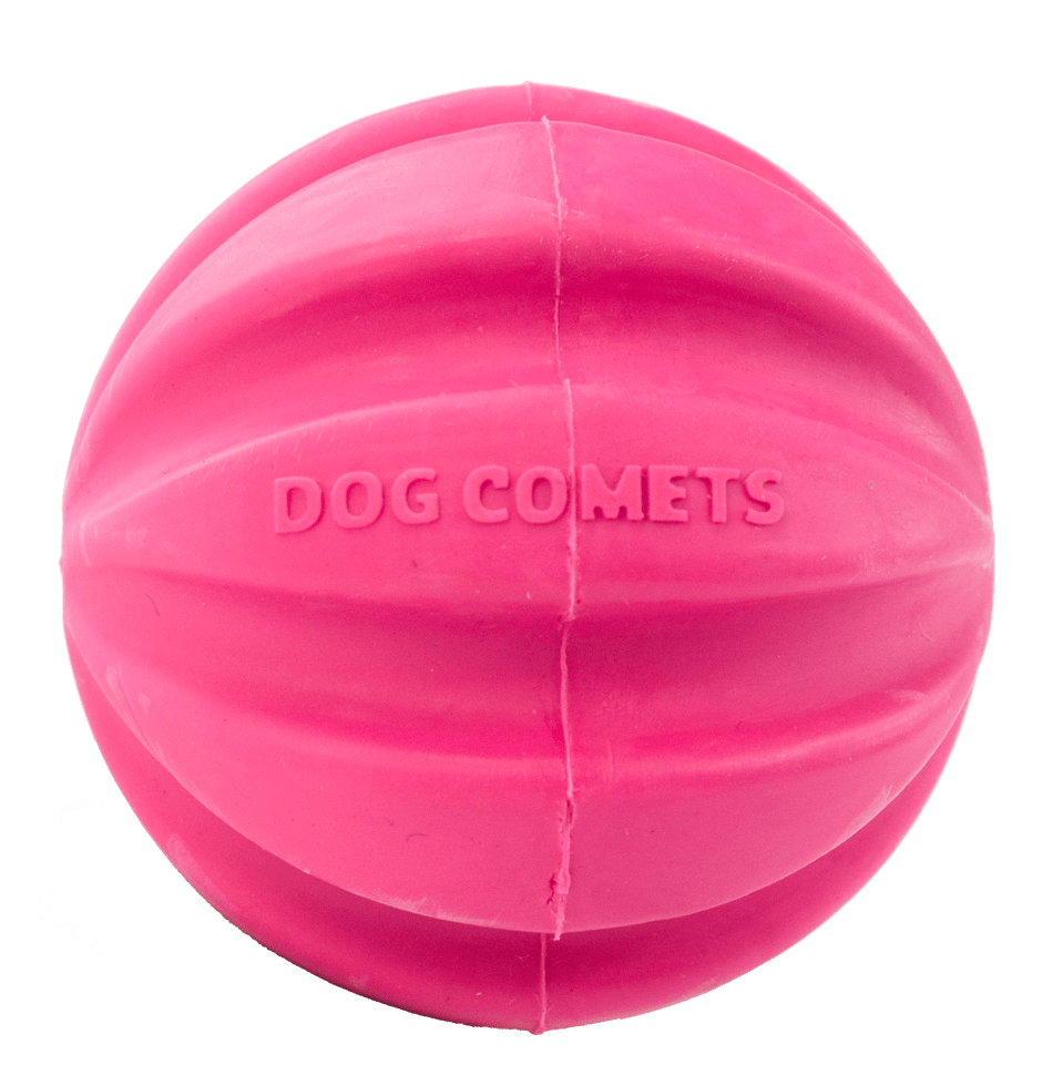Dog Comets Halley Roze - Afbeelding 3