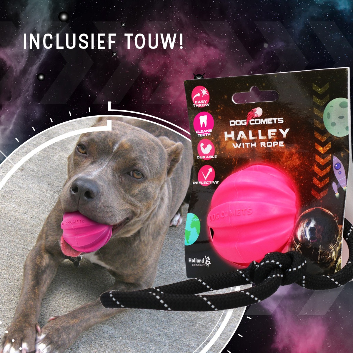 Dog Comets Halley Met Touw Roze - Afbeelding 4