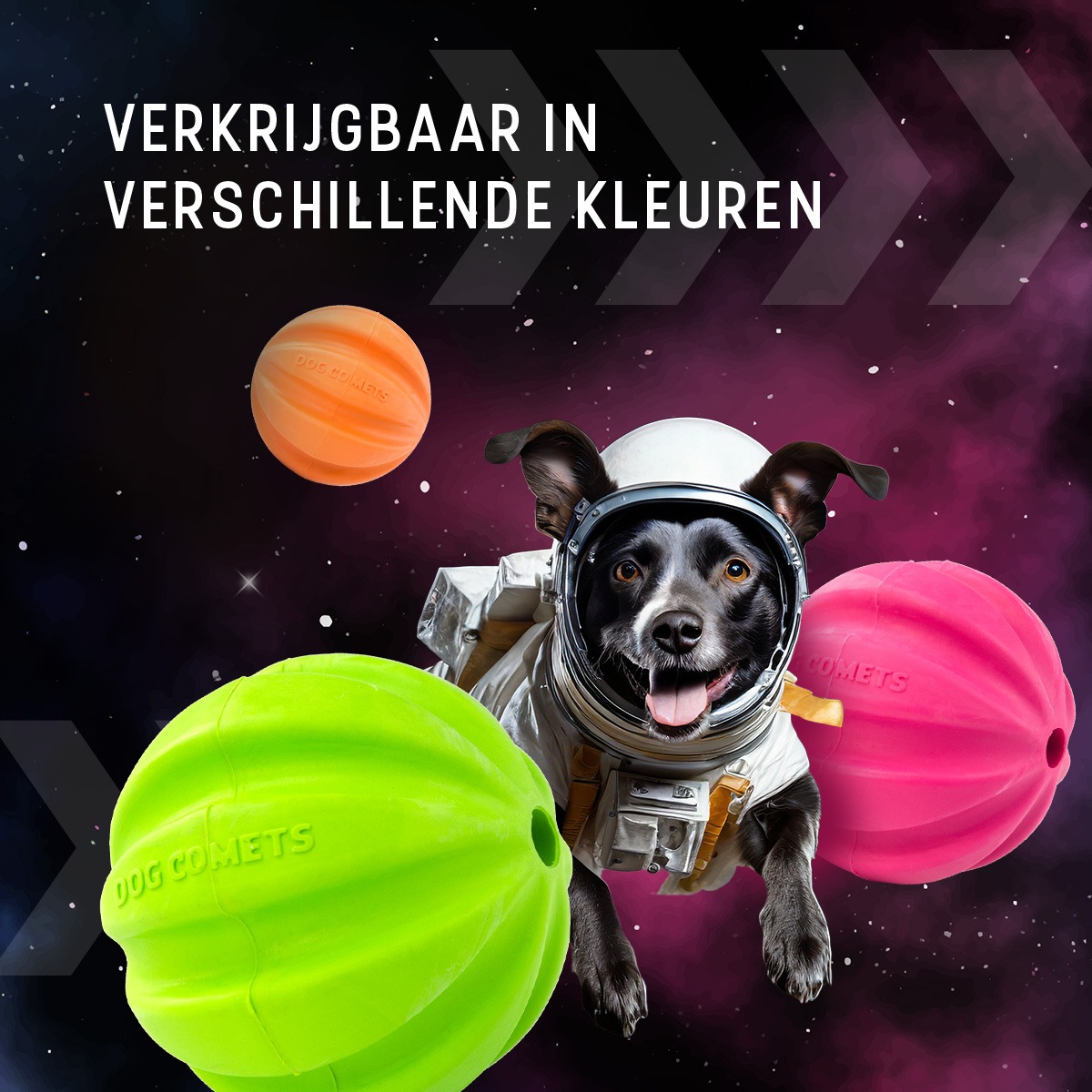 Dog Comets Halley Met Touw Roze - Afbeelding 5