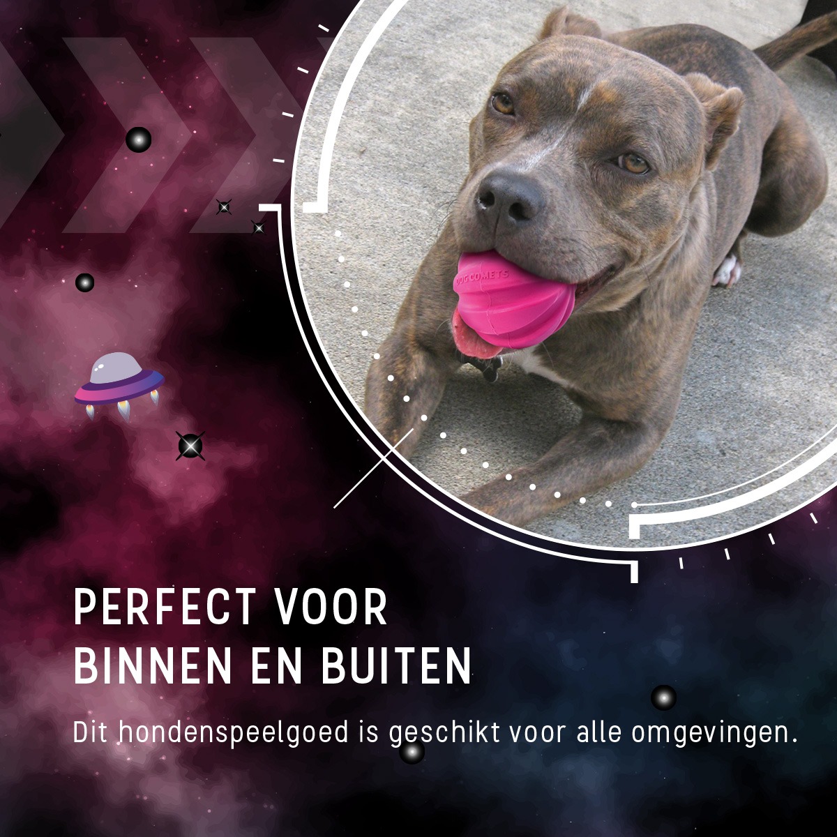 Dog Comets Halley Met Touw Roze - Afbeelding 6