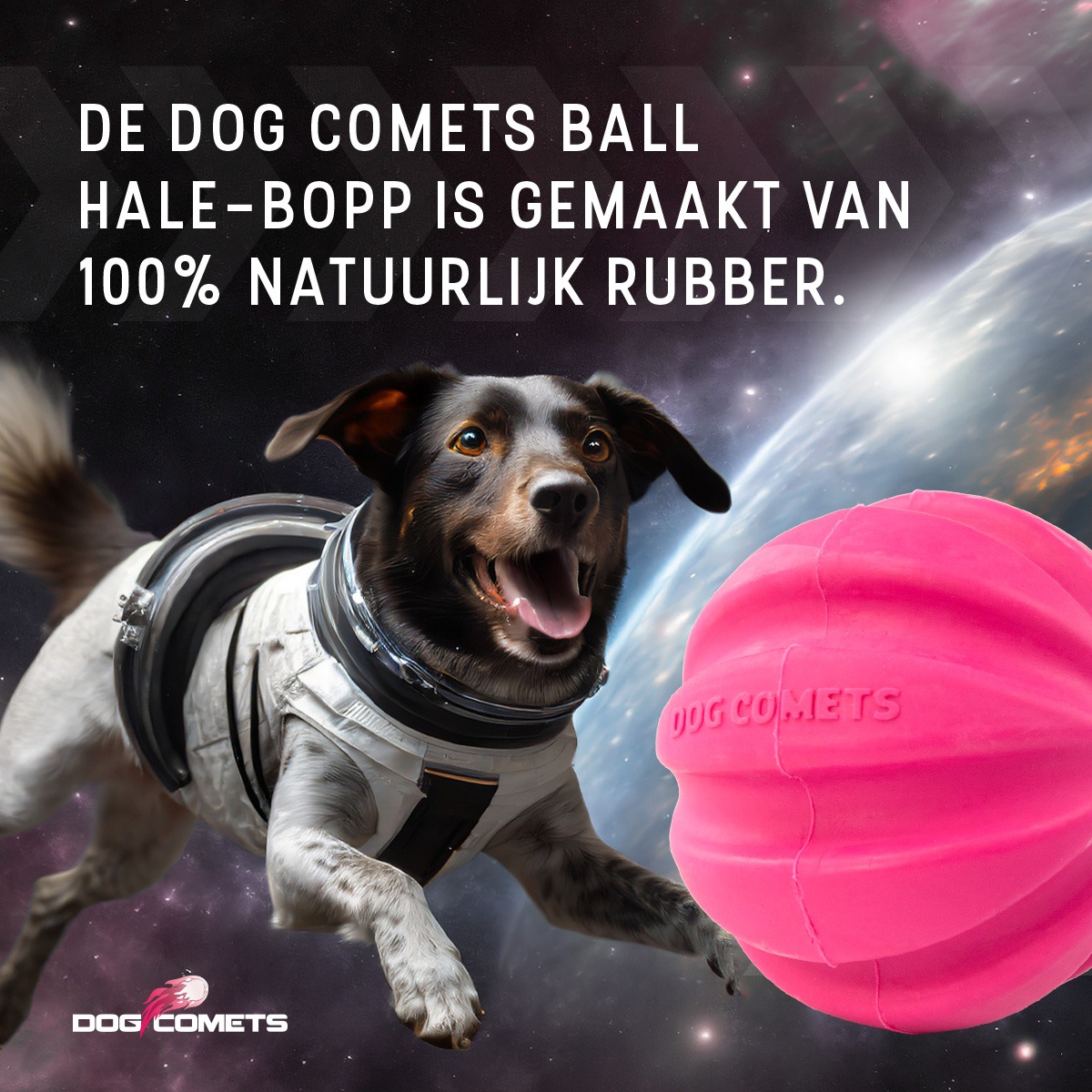 Dog Comets Halley Roze - Afbeelding 6