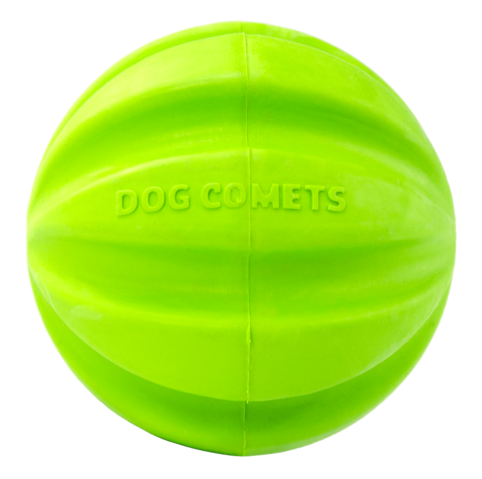 Dog Comets Hale Bopp Groen - Afbeelding 3