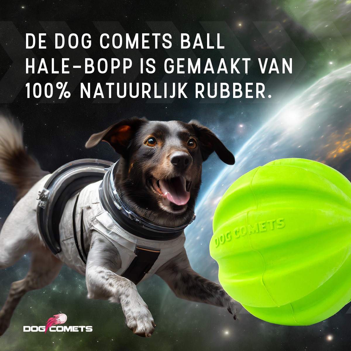 Dog Comets Hale Bopp Groen - Afbeelding 5