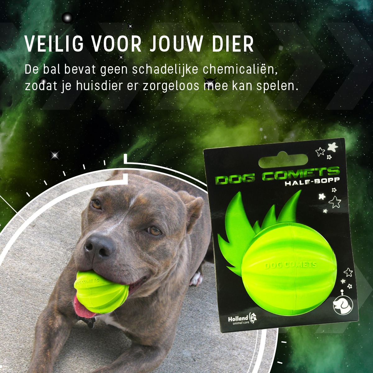 Dog Comets Hale Bopp Groen - Afbeelding 6