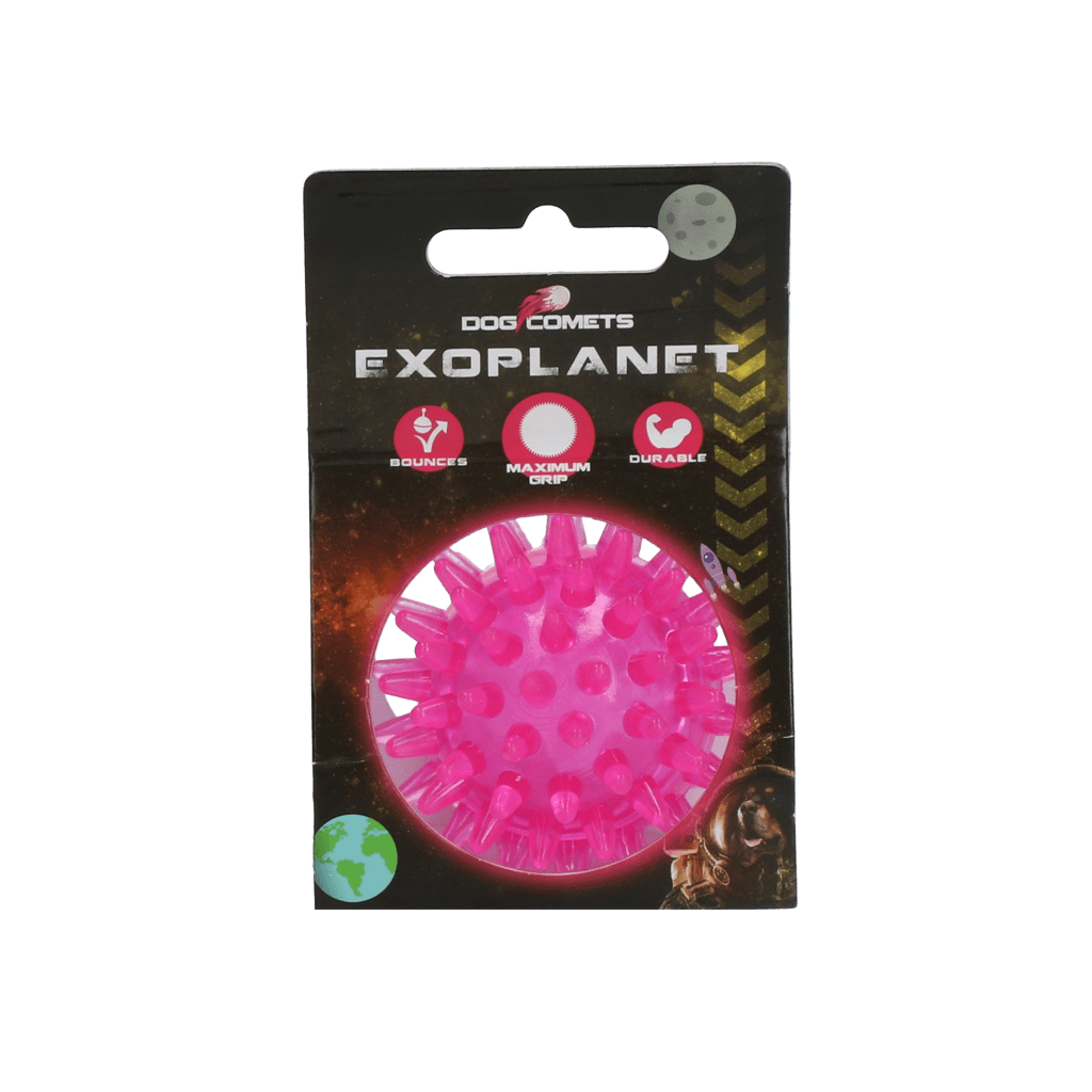Dog Comets Exoplanet Egelbal S Roze