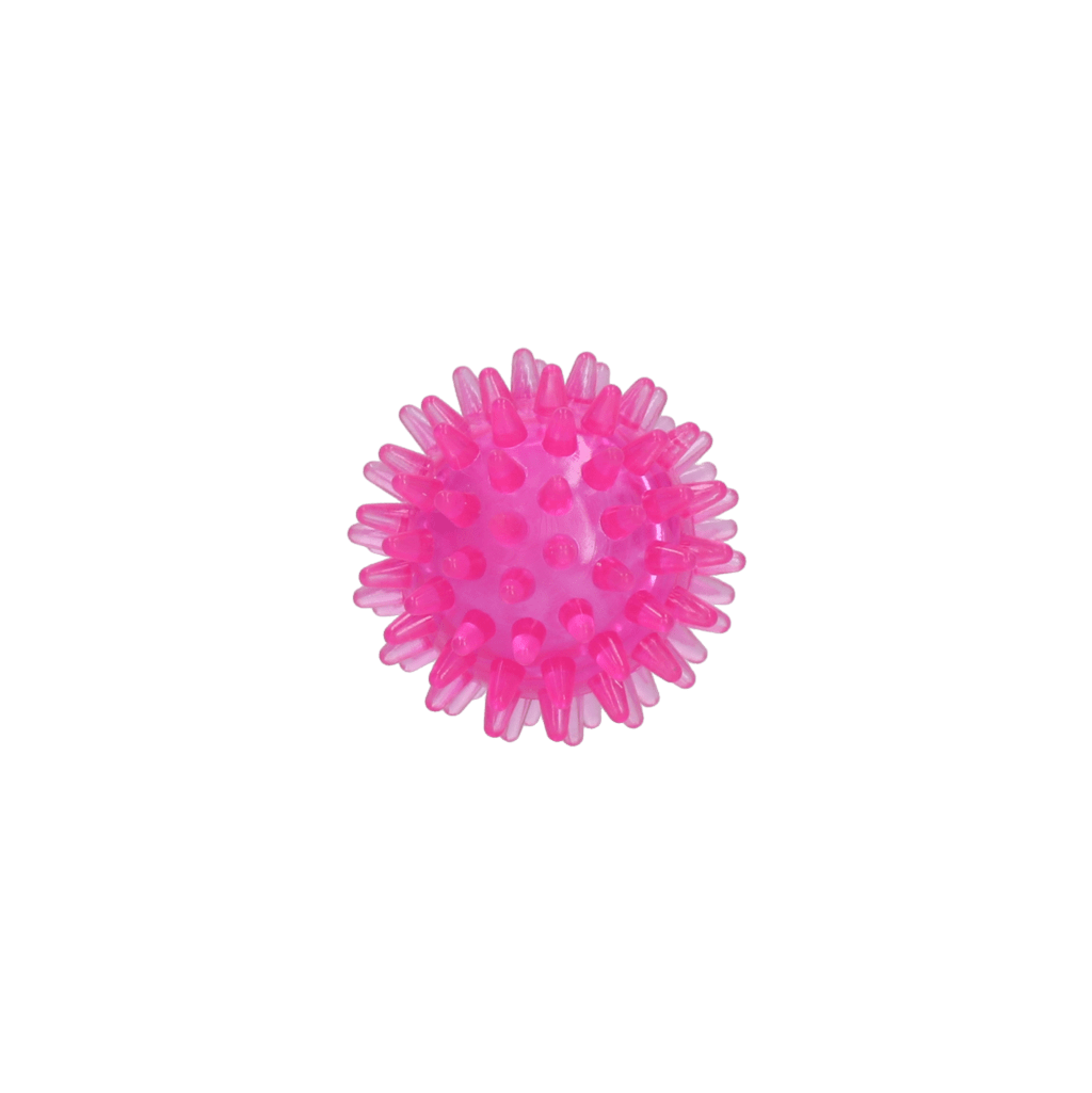 Dog Comets Exoplanet Egelbal S Roze - Afbeelding 2