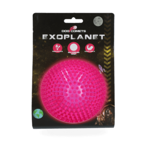 Dog Comets Exoplanet Egelbal L Roze
