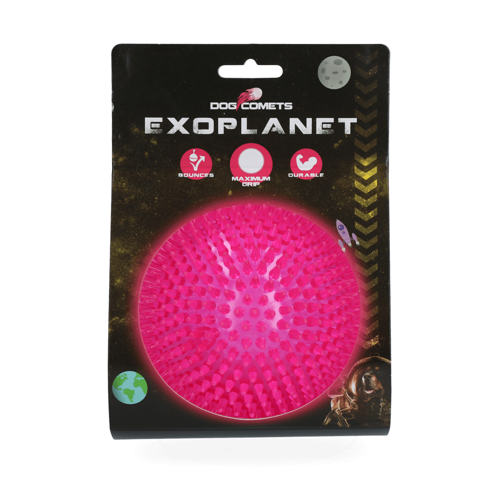 Dog Comets Exoplanet Egelbal L Roze