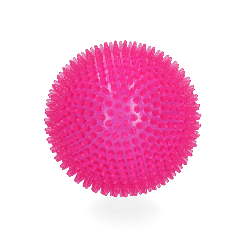 Dog Comets Exoplanet Egelbal L Roze - Afbeelding 2