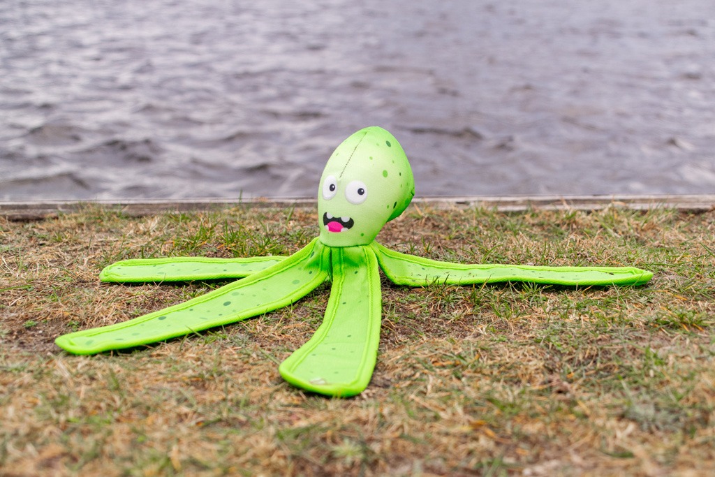 Dog Comets Alien Octo M Oranje - Afbeelding 5