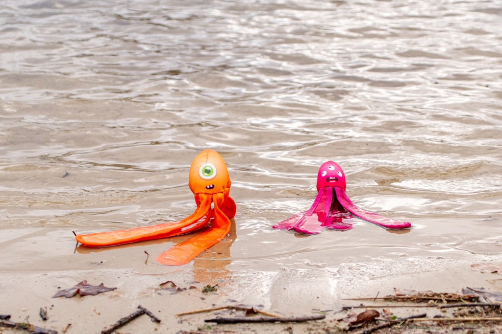 Dog Comets Alien Octo M Oranje - Afbeelding 6