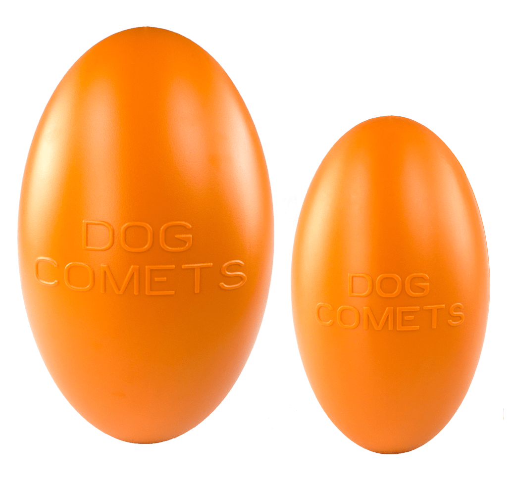 Dog Comets Pan-Stars Oranje L - Afbeelding 2