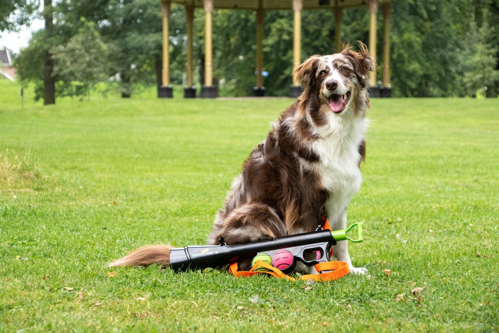 Dog Comets Comet Launcher - Afbeelding 5