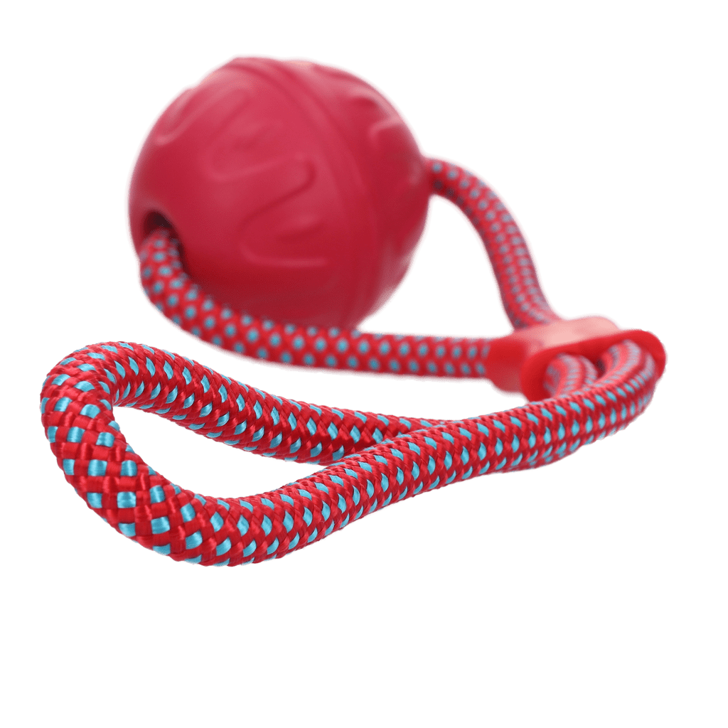 Dog Comets Vortex Loop Roze - Afbeelding 2