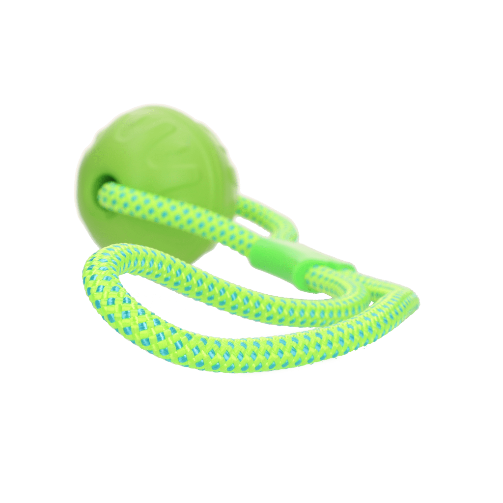 Dog Comets Vortex Loop Groen - Afbeelding 2
