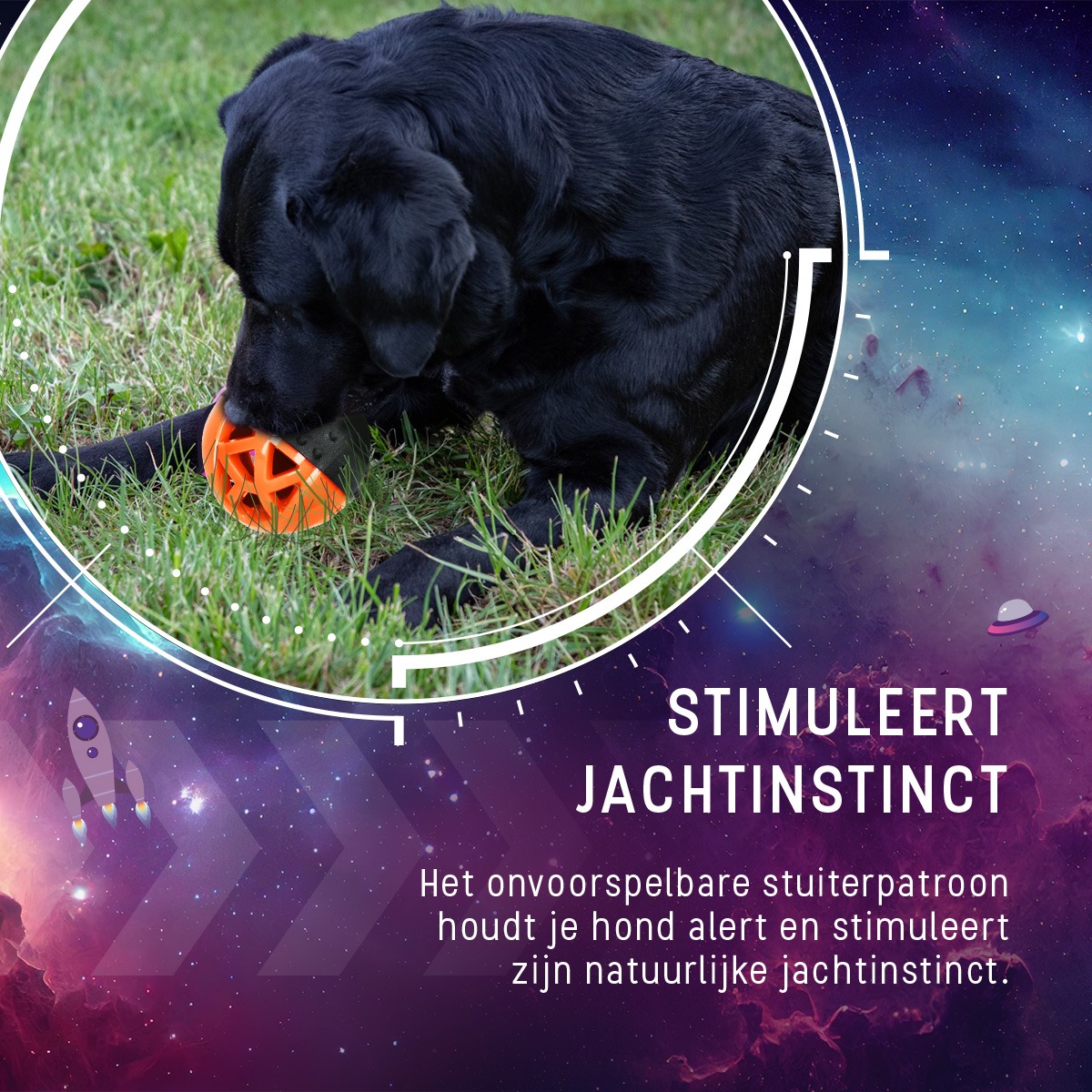 Dog Comets Moonstone Traktatiebal Oranje - Afbeelding 6