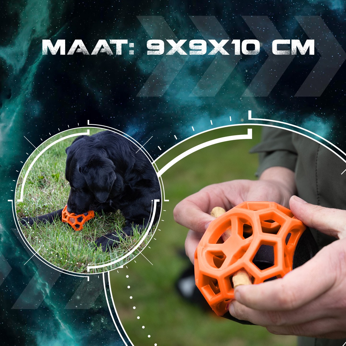 Dog Comets Moonstone Traktatiekubus Oranje - Afbeelding 5