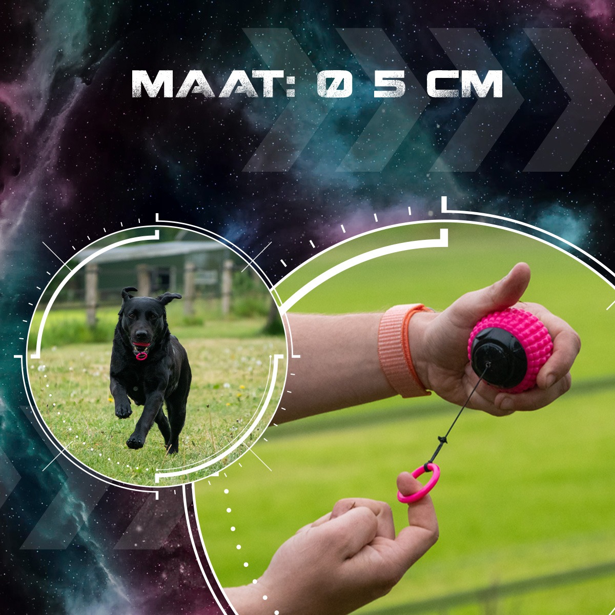 Dog Comets Blazar Jet Roze - Afbeelding 5