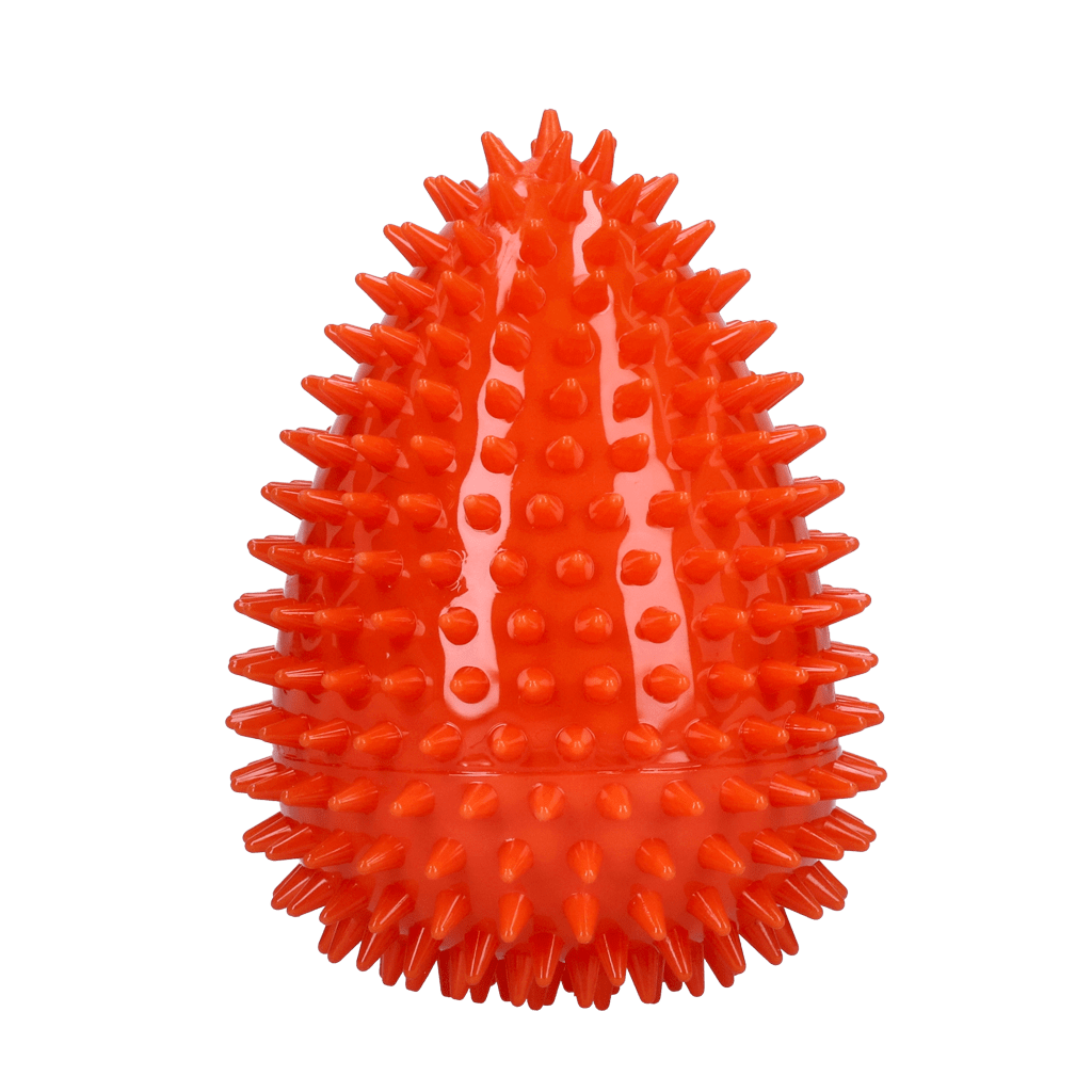 Dog Comets Cosmic Egg Oranje L - Afbeelding 2