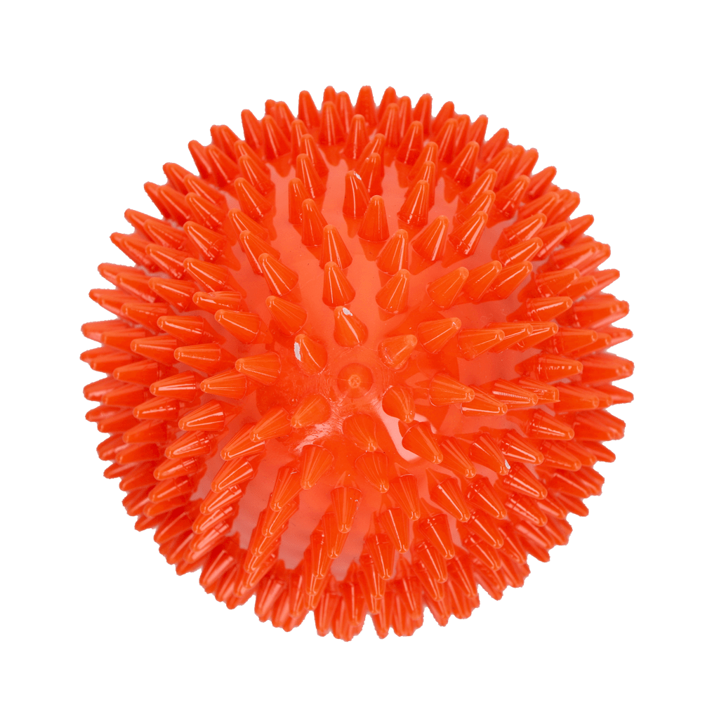 Dog Comets Cosmic Egg Oranje L - Afbeelding 3