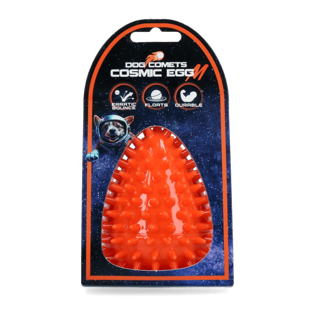 Dog Comets Cosmic Egg Oranje M