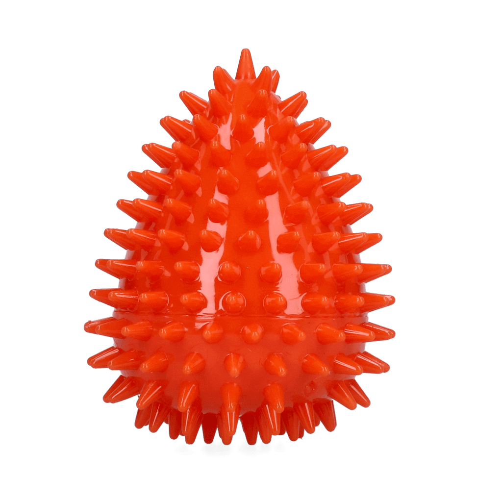 Dog Comets Cosmic Egg Oranje M - Afbeelding 2