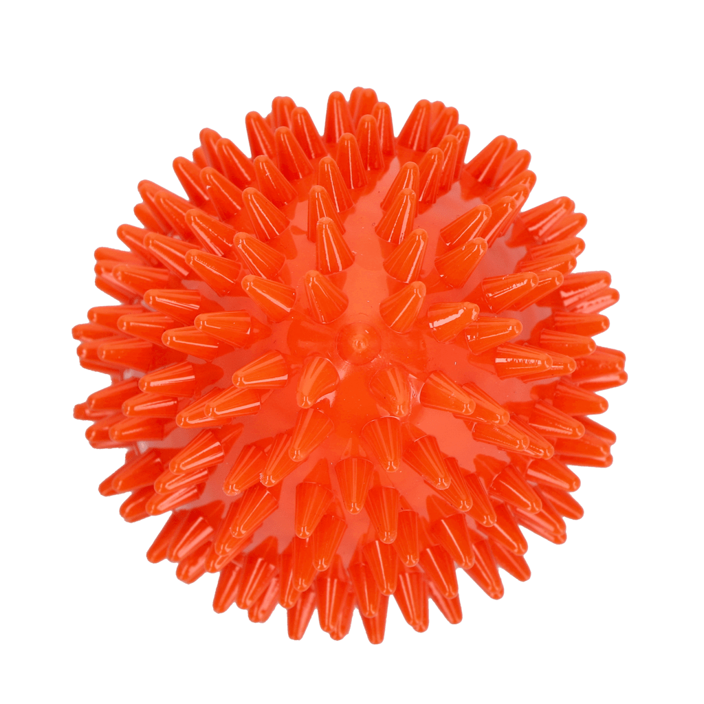 Dog Comets Cosmic Egg Oranje M - Afbeelding 3