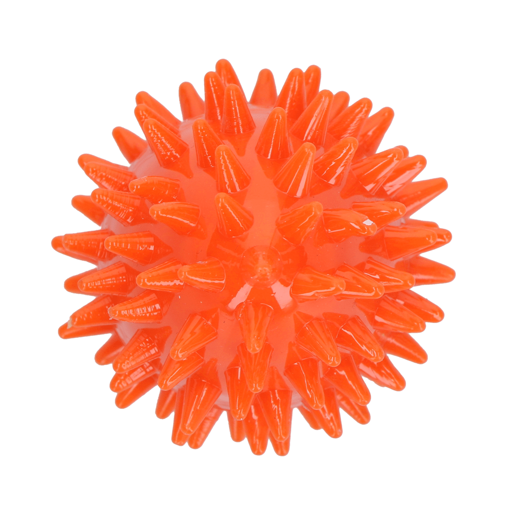 Dog Comets Cosmic Egg Oranje S - Afbeelding 3