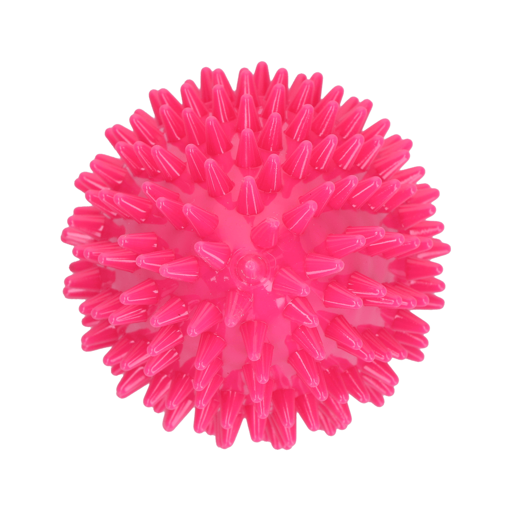 Dog Comets Cosmic Egg Roze M - Afbeelding 3