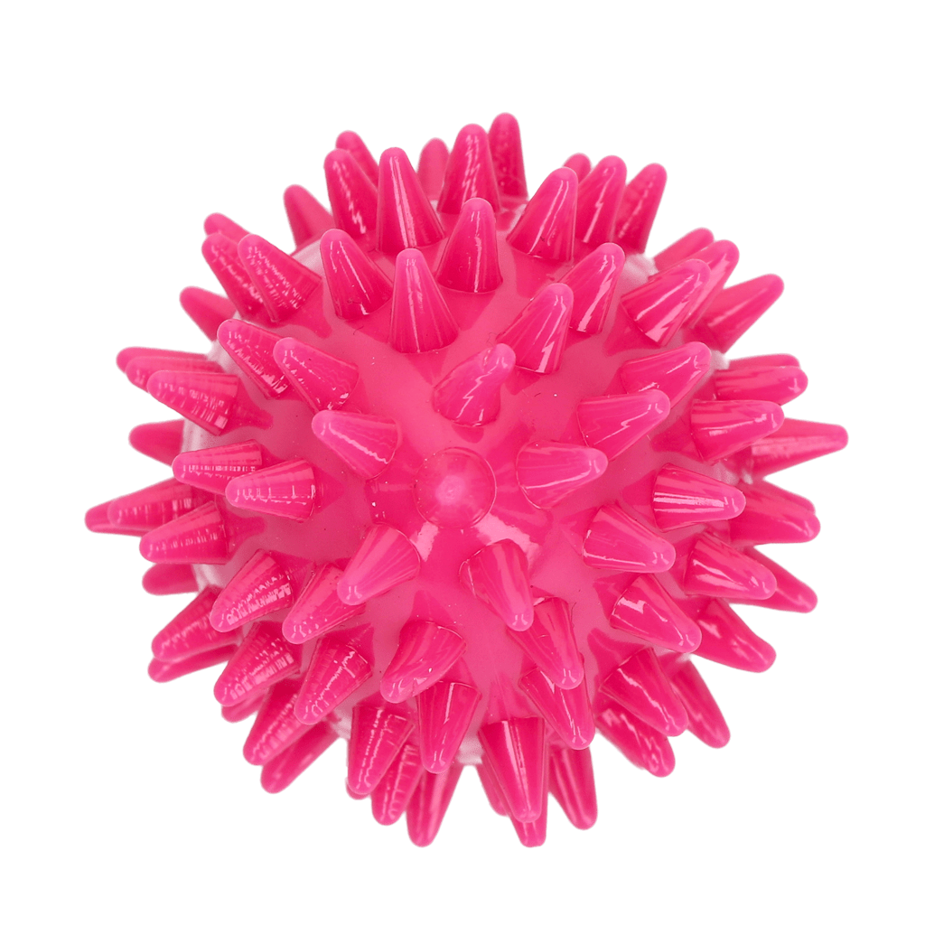 Dog Comets Cosmic Egg Roze S - Afbeelding 2