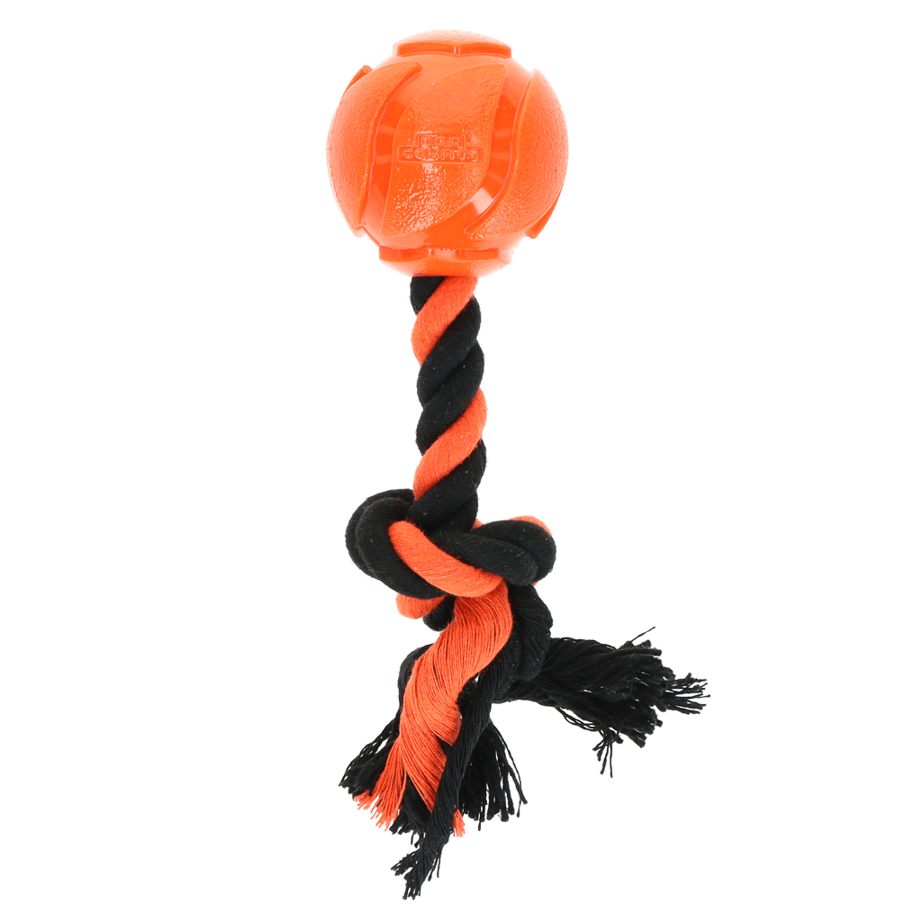 Dog Comets AstroTug Oranje - Afbeelding 2