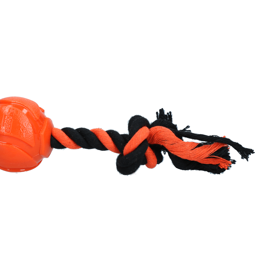 Dog Comets AstroTug Oranje - Afbeelding 3