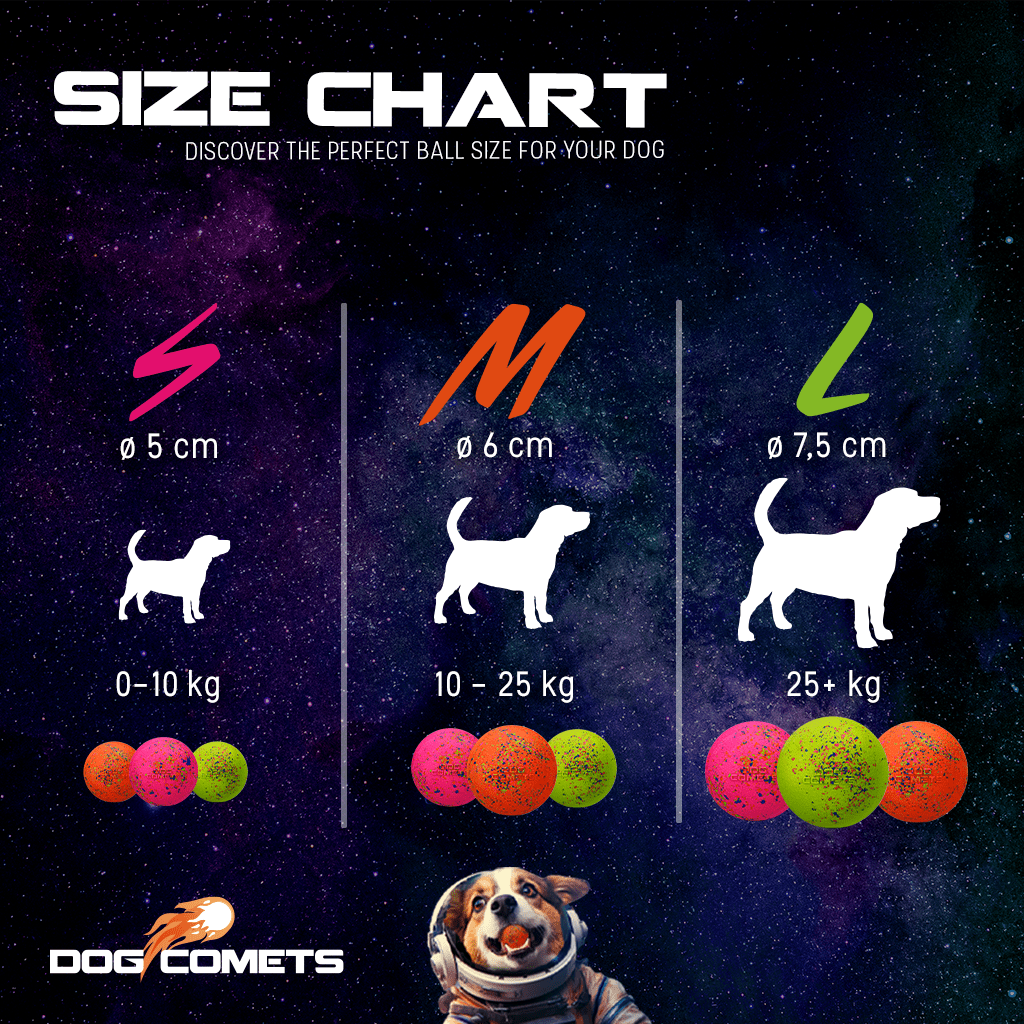 Dog Comets Stardust Groen M - Afbeelding 3