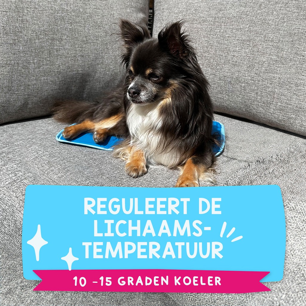 Coolpets Premium Solid gel Cooling Mat XS 40x30cm - Afbeelding 4