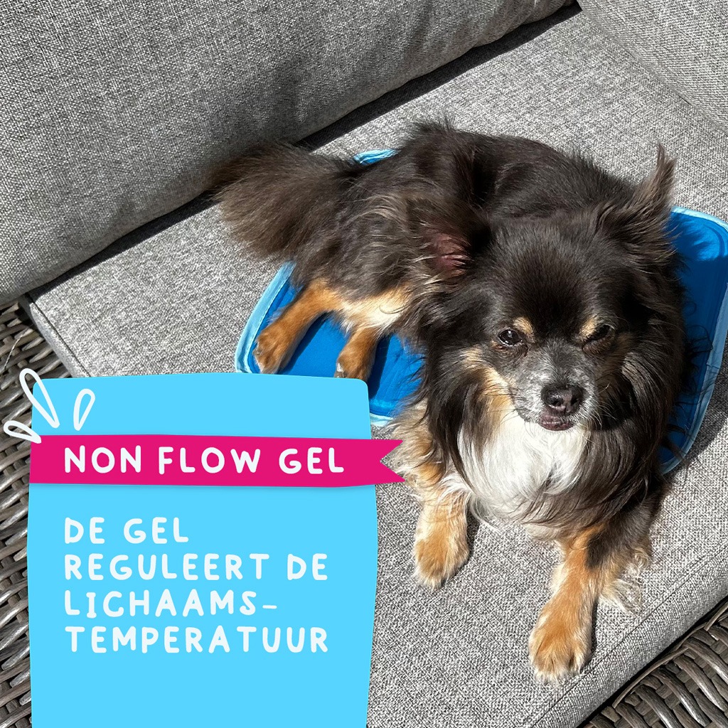 Coolpets Premium Solid gel Cooling Mat XS 40x30cm - Afbeelding 6